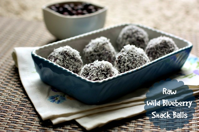 Raw Wild Blueberry Snack Balls