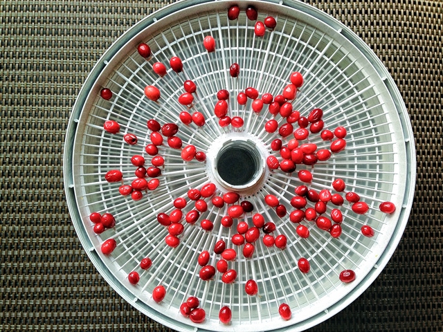 how to dehydrate cranberries