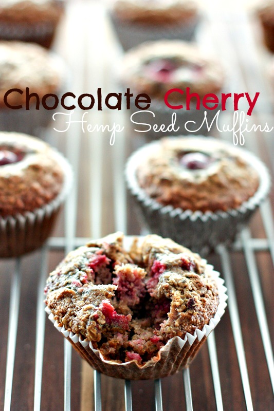 Chocolate Cherry Hemp Seed Muffins -- high protein, gluten free and delicious! 