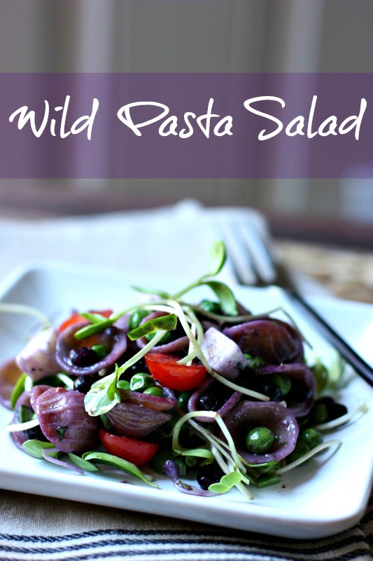 Pasta Salad with Wild Blueberries