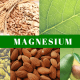 Magnesium 101, everything you need to know!