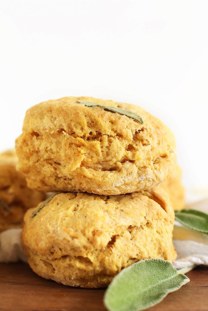 Round Up of the Best Plant-Based Thanksgiving Recipes